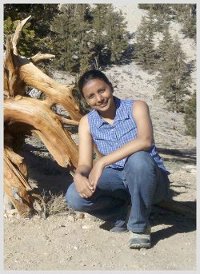 at bristlecone