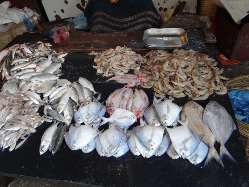 /photos/fish/fish_market_sc.JPG