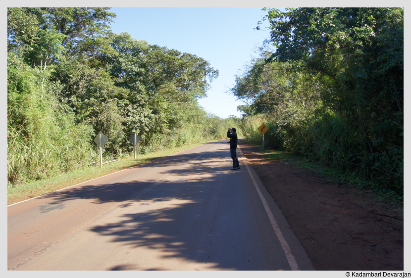 /photos/iguazu_website/pr_birdwatching.JPG